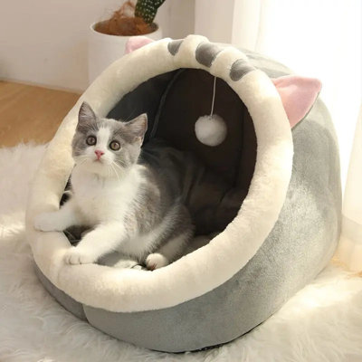 Dog House