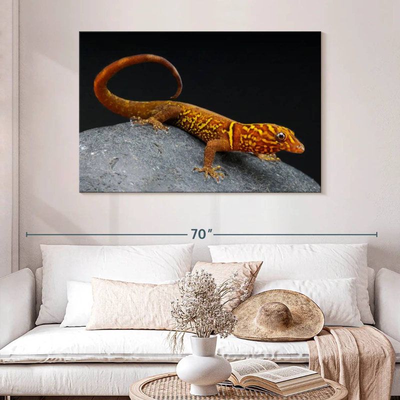 Brampt Gecko, 20" H x 30" W