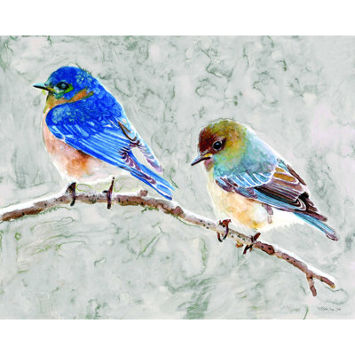 Eastern Bluebirds 1 - impression sur toile tendue