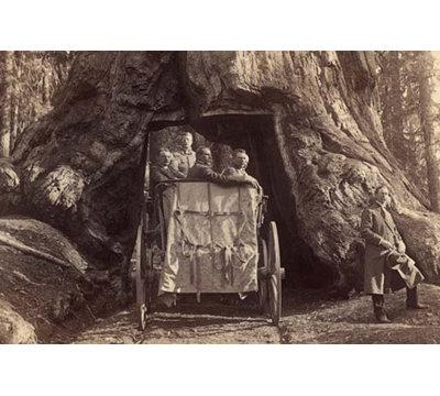 " President Roosevelt Amid Nature "