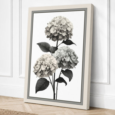 Hydrangea Study Botanical - Wrapped Canvas