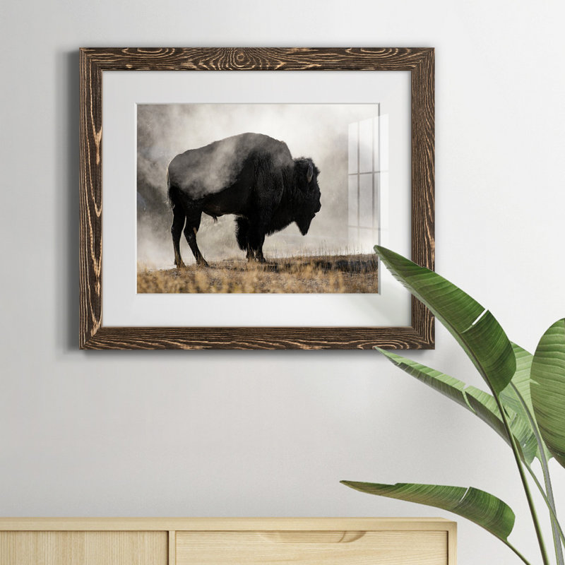 Geyser Basin - Single Picture Frame Print, Walnut Framed Paper, 20" H x 24" W x 1" D