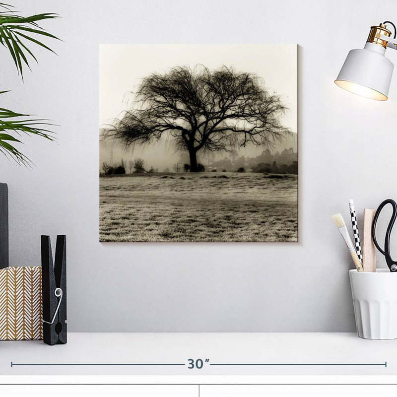 Harnek Black Willow Tree, 16" H x 16" W