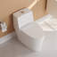 Toilette allongée monobloc DeerValley Prism-94830784-118612916