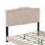 Lit tapissier grand format, structure avec rivets, lit plateforme moderne en velours avec tête de lit capitonnée-1720990837