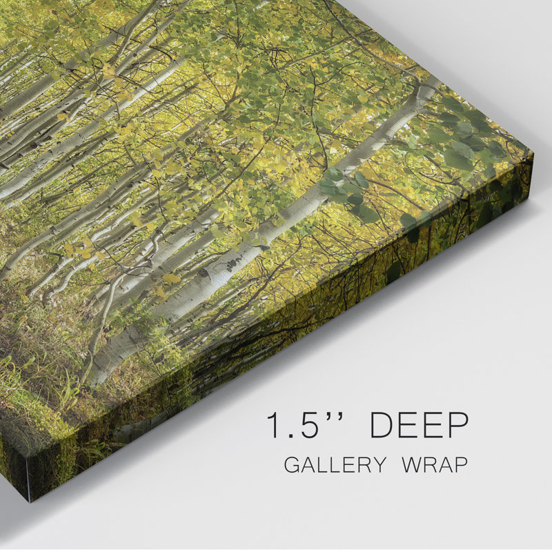 Aspen Drive - Impression sur toile tendue, H 36 po x l 24 po x P 1 po