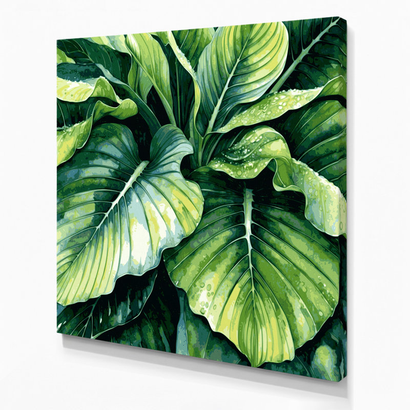 Art mural sur toile Botanical Colocasia, H 8 po x l 8 po