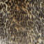 Margay Throw Pillow-1214570415