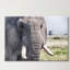 Wall Art on Canvas-23990832