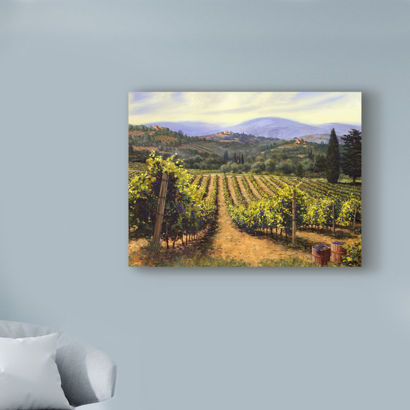 «Tuscany Vines» par Michael Swanson, reproduction sur toile tendue, H 24 po x l 32 po x P 2 po