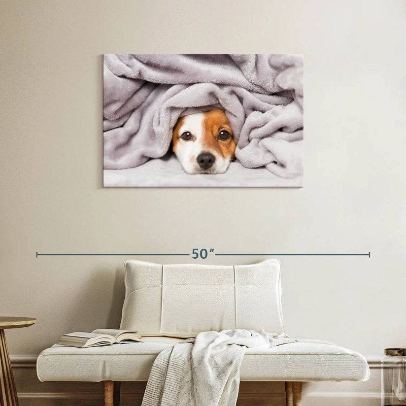 Brampt Blanket Bundled Dog, 24" H x 36" W