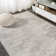 Pruden Ornate Medallion Modern Ivory Rug