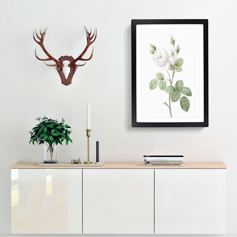 White Moss Rose by Pierre-Joseph Redoute - Framed Print, 48cm H x 36cm W x 2cm D, Black Framed