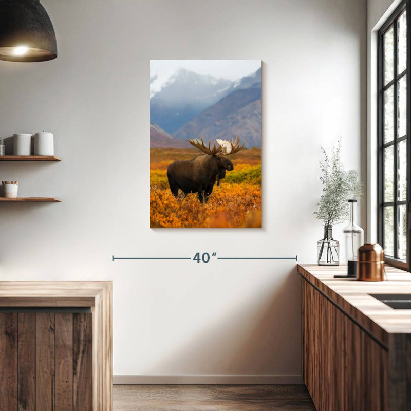 Brampt Moose In Pasture, 36" H x 24" W