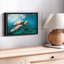 Tortue maui, reproduction sur toile-102859120