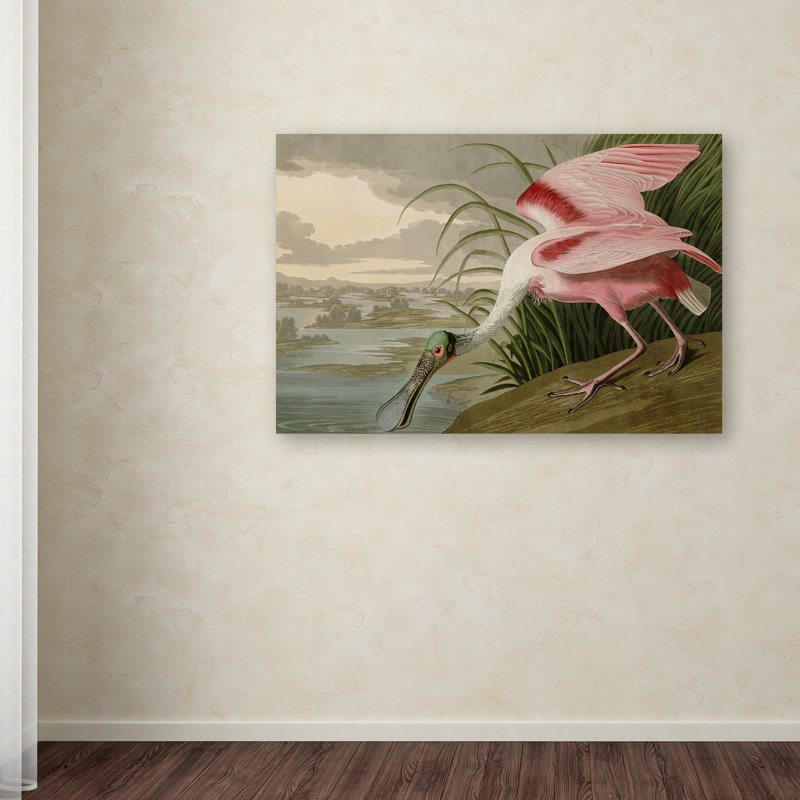 «Spatule rosée» par John James Audubon - reproduction sur toile, H 12 po x l 19 po x P 2 po