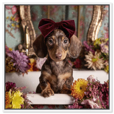 Reproduction d'art sur toile Doxxie Velvet Bow par Art Remedy