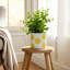 Sagebrook Home 6" Flower Power Planter, Black/White-1888640659
