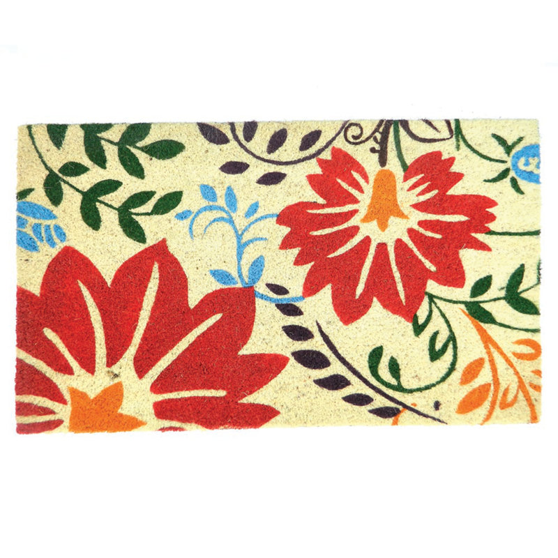 Tapis de porte antidérapant Ajee 30 po x 18 po