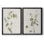 Toile encadrée de qualité supérieure Wispy Botanical I - prête à être accrochée-1622420741-1622420795