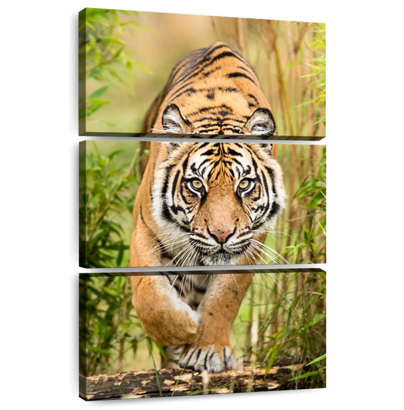 Brampt Big Cat, 32'' H x 20'' W