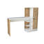 Parvati Writing Desk-1468808570