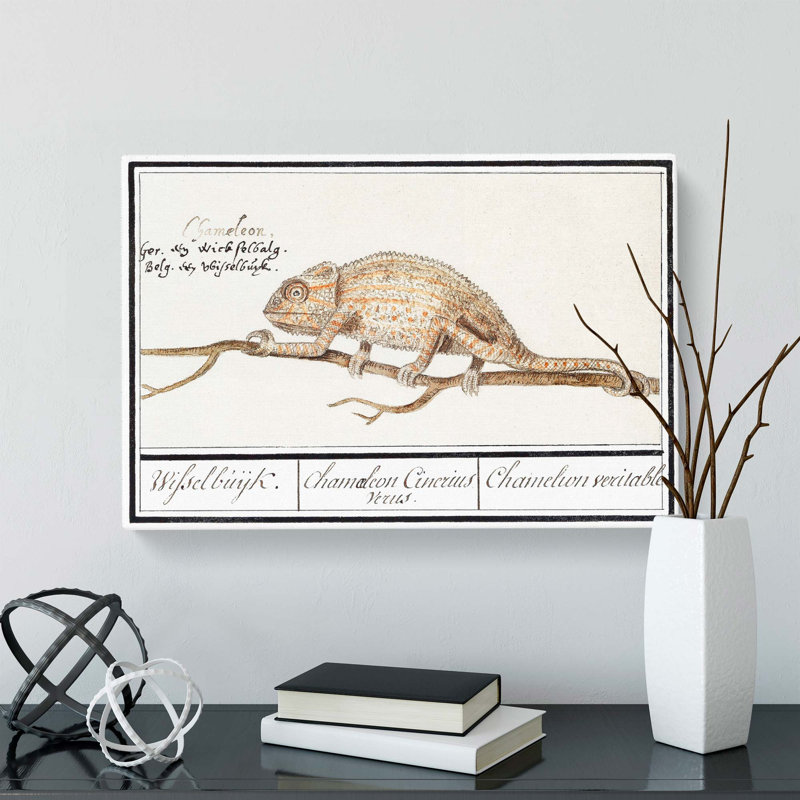 Chameleon by A.B. De Boodt - Wrapped Canvas, 40cm H x 60cm W x 3cm D