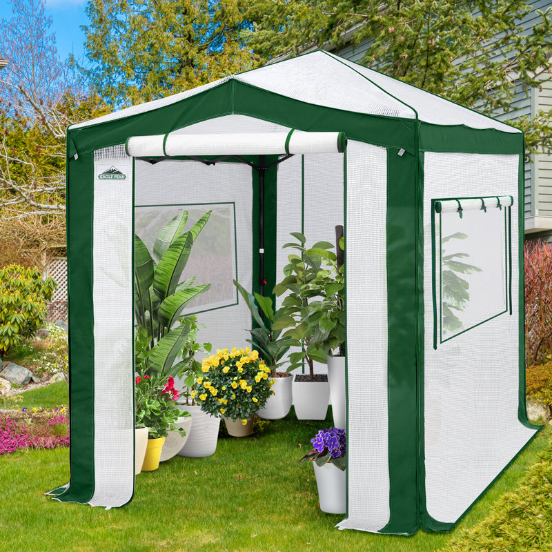 6' W x 8' D Hobby Greenhouse, White/Green