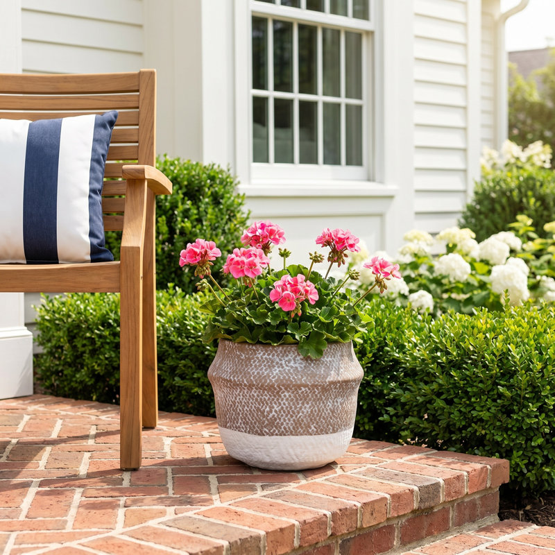 Delancy Pot Planter, 6.75" H x 8.50" W x 8.5" D