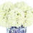 Hydrangea Arrangement in Blue and White Vase