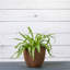 Ensemble de pots à fleurs 3 pièces-516122977