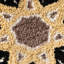 Coussin Celestial Starburst
