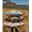 Ardmore Pillow-93594859-101838510
