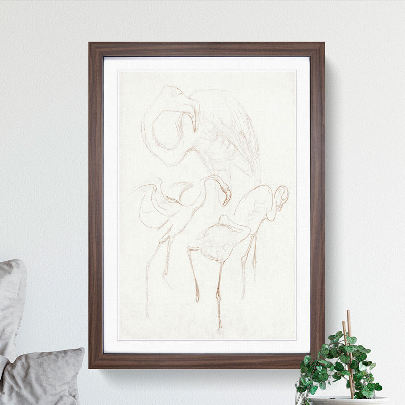 Flamingo Study by Theo Van Hoytema - Picture Frame Drawing, 36cm H x 27cm W x 2cm D, Walnut Framed