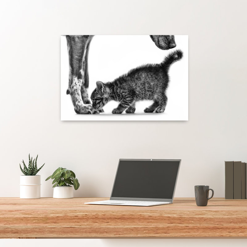 «Gentle Dog Kitten Contemporary Cat Dog», reproduction d'art murale, H 16 po x l 24 po