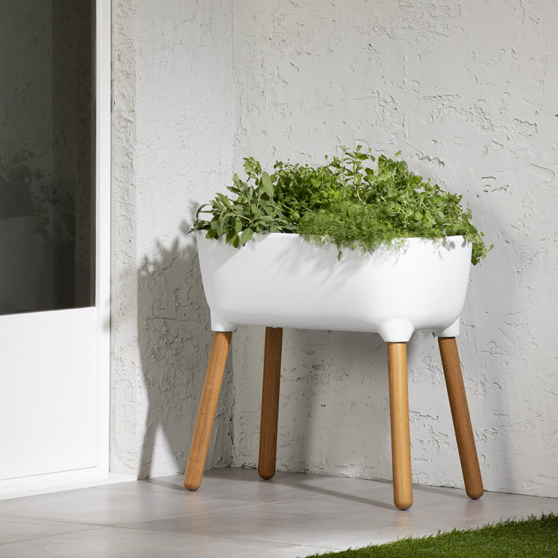 Jonah-Dillon Wood Elevated Planter, Orange