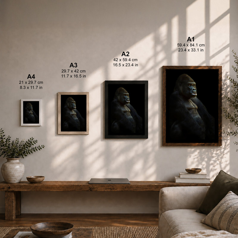 Gorilla In Shadow Modern - Print, A4 - 29.7 x 21.0 cm, White