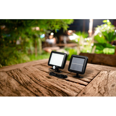 Oryana Flood Light