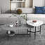 Table basse légère de luxe et mode créative moderne-106586376