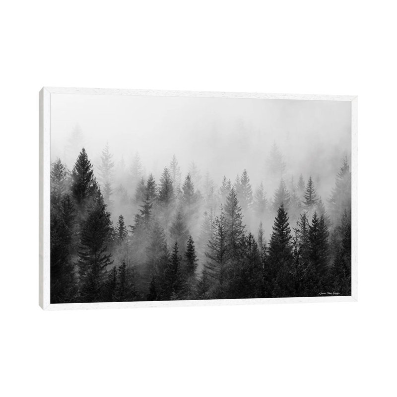 Forest - Print on Canvas, 101.6 cm H x 66.04 cm W, White Framed