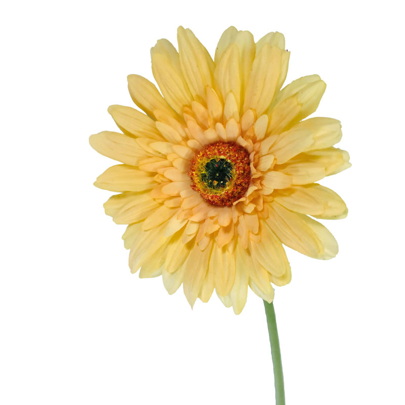 Arrangement, Yellow