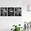 Atmospheric Clouds Black White Dramatic Coastal Landscapes - 3 Piece No Frame Print Set-1523890740