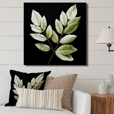 " Black And Green Leave Simplicity "