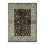 Oriental Area Rug in Ivory