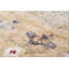 Cokato Hand Woven Area Rug-49712976