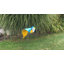 Art de jardin royal ara