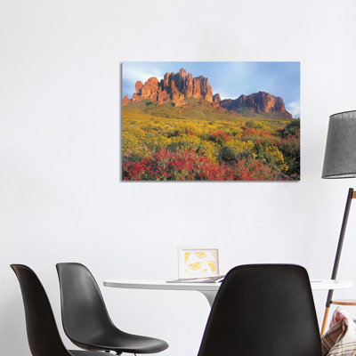 Chuparosa And Brittlebush, Superstition Mountains, Arizona by Tim Fitzharris - Wrapped Canvas Print