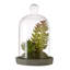 Sydnee 18cm Succulent in Cement Terrarium
