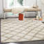 Tapis à poils longs Arsheq Performance-17988980