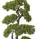 55.57'' Faux Bonsai Tree in Planter